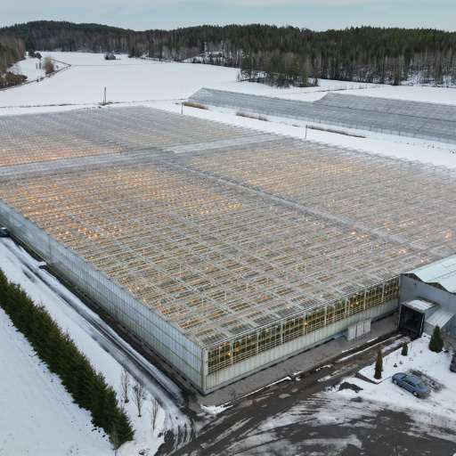 Ilmakuva Juntin Puutarha