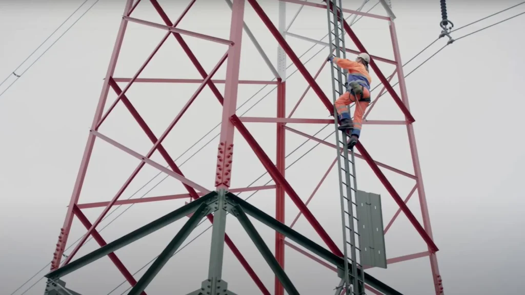 eltel-turvatikas-safety-ladder_676px