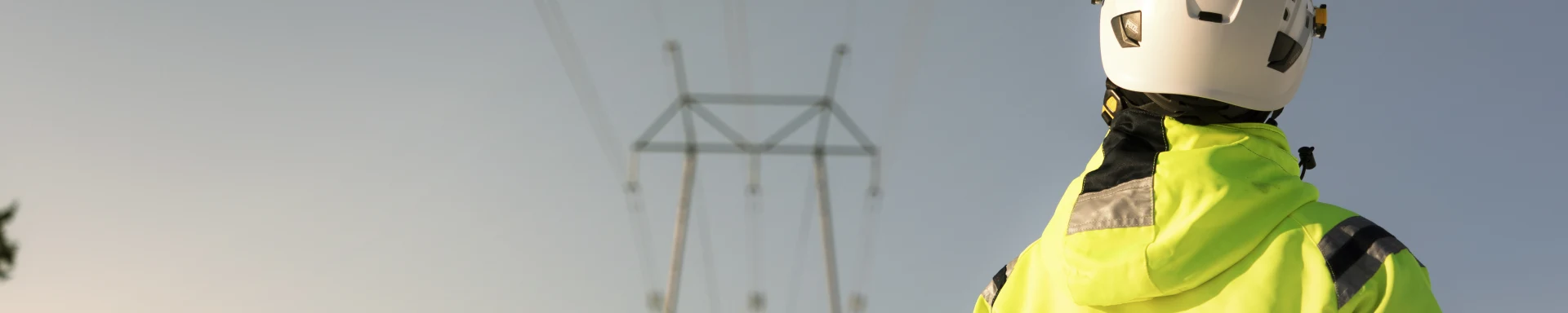 Hero image